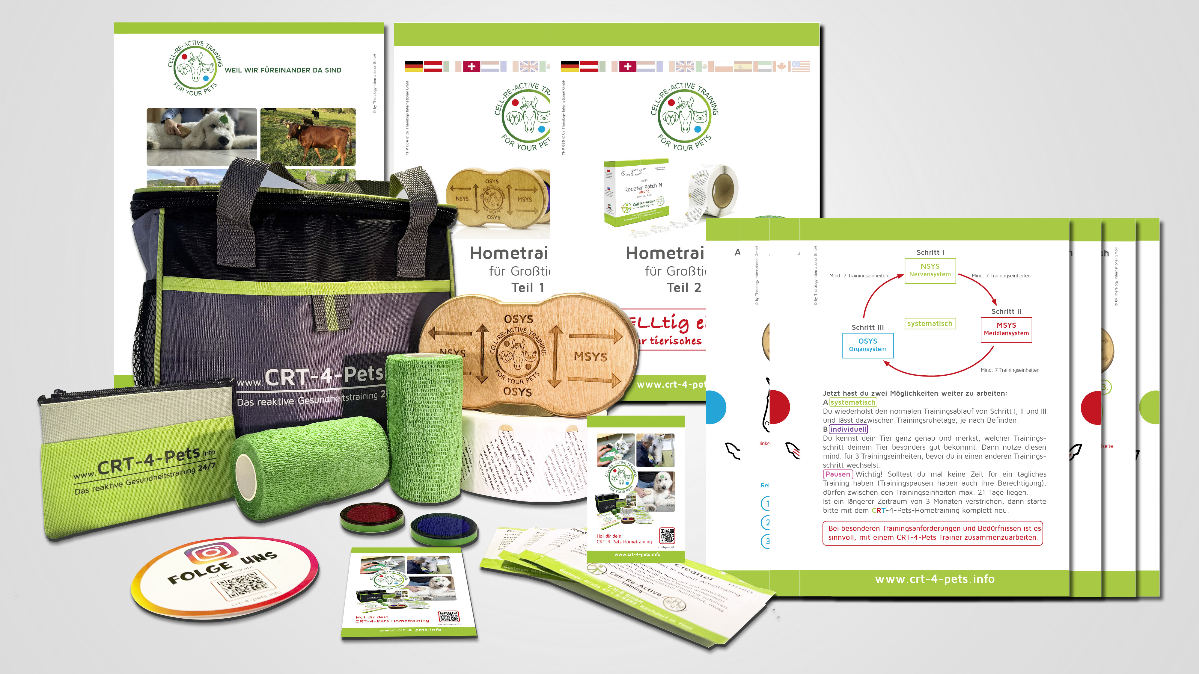 Home Set 4 Pets L